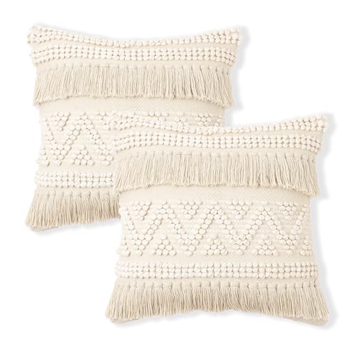 Throw Pillow Cases