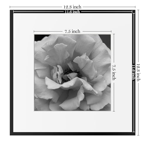 Aluminum Gallery Wall Frame Set with Glass Cover