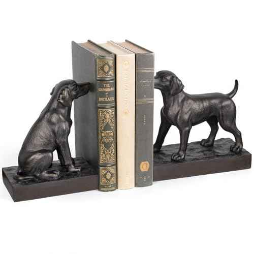 Decorative Bookends for Shelves