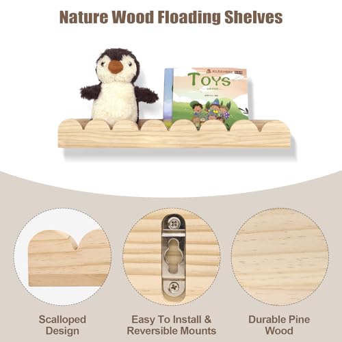 Kids Bookshelf for Wall