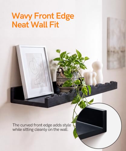 Picture Ledge Shelves for Wall