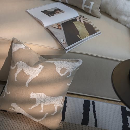 Throw Pillow Cushion Cover