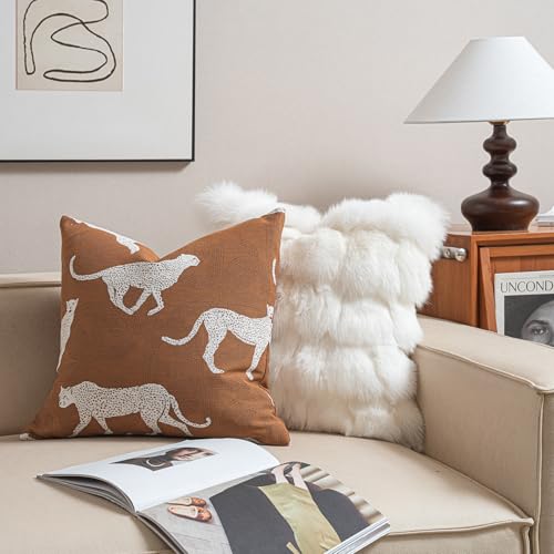 Throw Pillow Cushion Cover