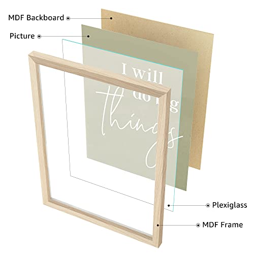 9 Piece Botanical Gallery Wall Art Set