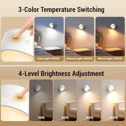 LED Wall Sconces