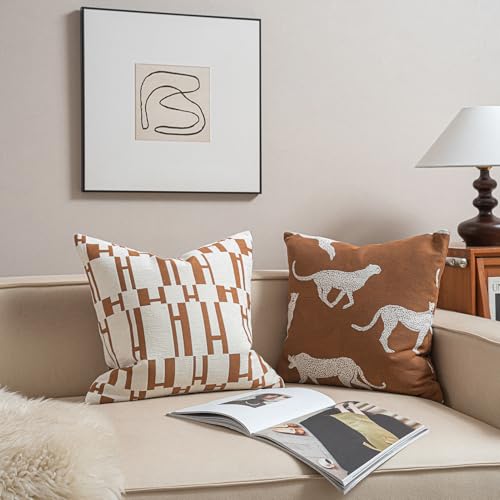 Throw Pillow Cushion Cover
